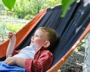 22998095 - happy small boy with a lovely smile relaxing in a hammock in the shade of tree in the garden during the summer heat